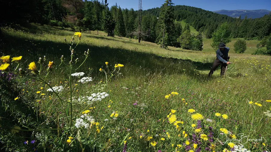 Roumanie : paysages, activités, montagnes, été, photo 22 d’Olivier Bourguet