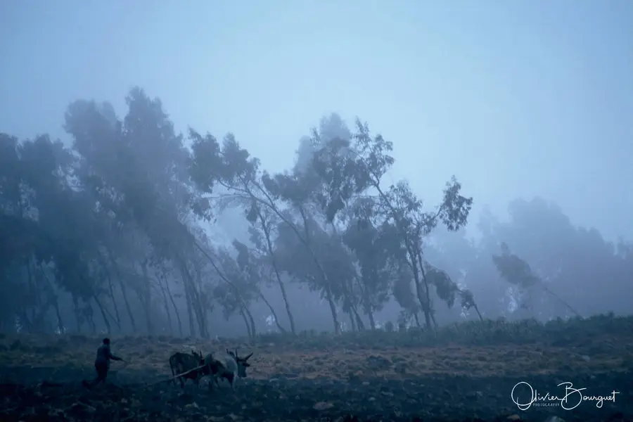 Éthiopie : éthiopie nord, activités, photo 93 d’Olivier Bourguet