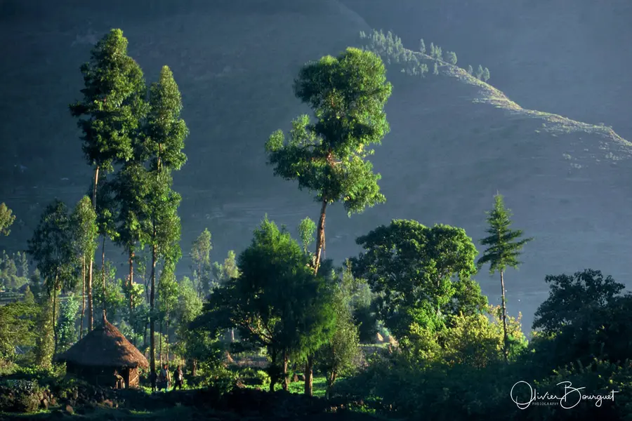 Éthiopie : éthiopie nord, paysages, photo 91 d’Olivier Bourguet