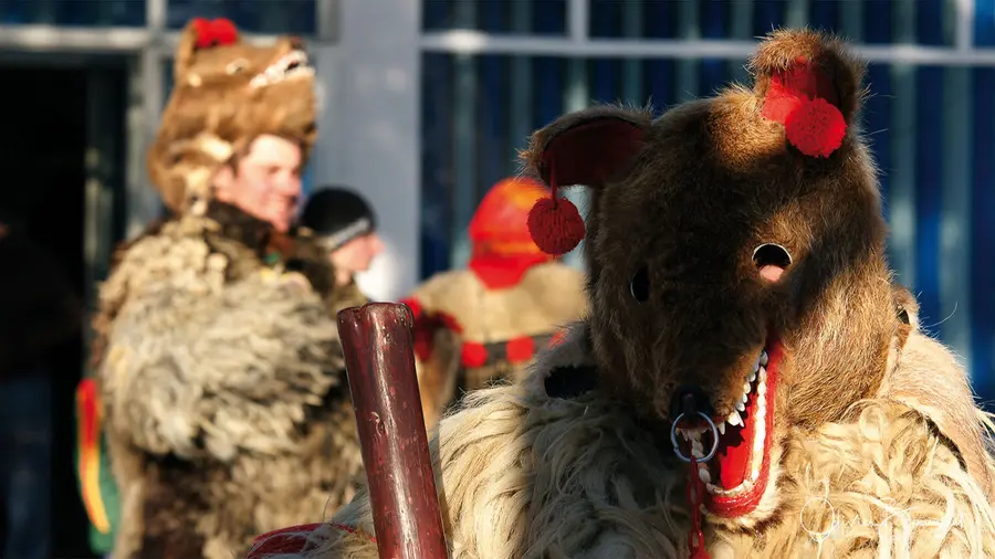Personnages masqués en costume d’ours lors d’une fête d’hiver, Roumanie