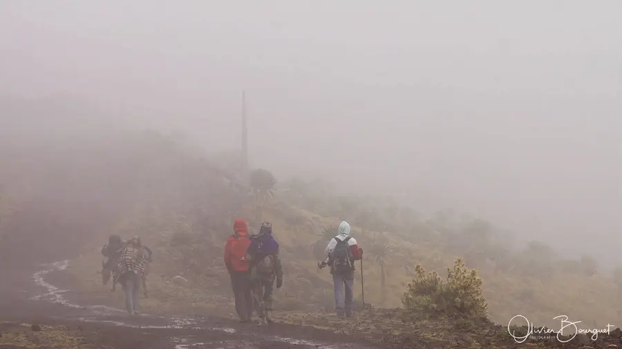 Marcher pour Genna : paysages, montagnes du Simien, rando, fleurs, photo 22 d’Olivier Bourguet