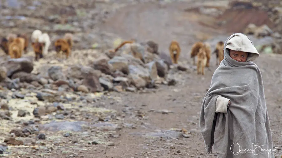 Marcher pour Genna : montagnes du Simien, activités, enfants, photo 23 d’Olivier Bourguet