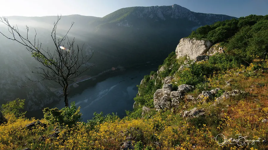 Roumanie : paysages, Danube, printemps, photo 41 d’Olivier Bourguet