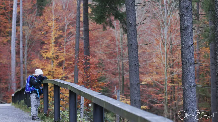 Nature : bavière, photo 6 d’Olivier Bourguet