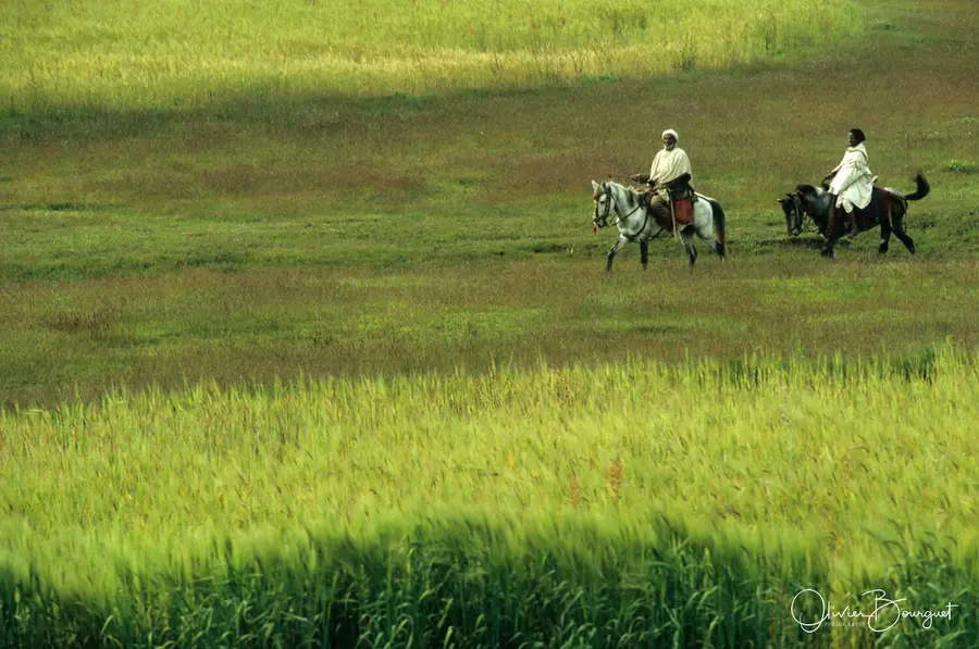 Éthiopie : éthiopie nord, paysages, portraits, photo 84 d’Olivier Bourguet