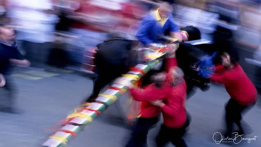 Divers : le Doudou de Mons, photo 15 d’Olivier Bourguet