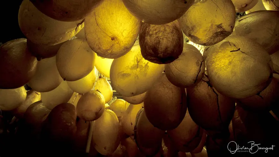 Divers : le Doudou de Mons, photo 30 d’Olivier Bourguet