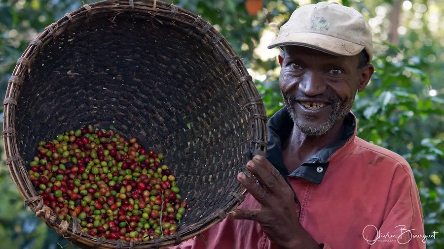 Éthiopie : éthiopie sud, portraits, café, photo 118 d’Olivier Bourguet
