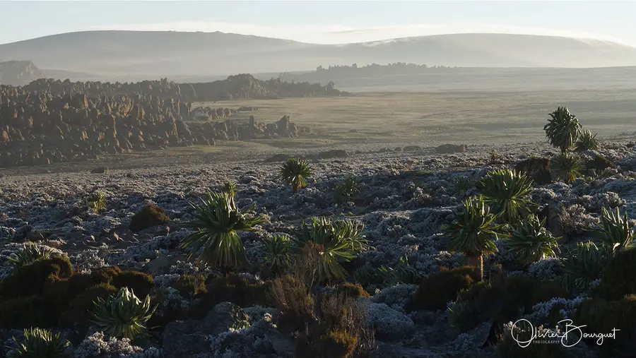 Avec les pèlerins de Sheikh Hussein : paysages, photo 7 d’Olivier Bourguet