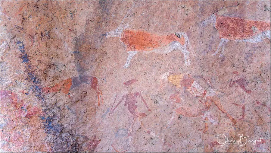 Namibie : desert, animaux, art rupestre, photo 15 d’Olivier Bourguet