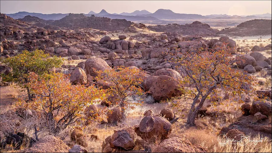Namibie : desert, paysages, photo 18 d’Olivier Bourguet