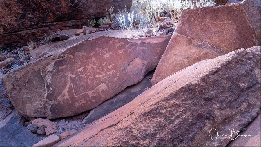 Namibie : desert, animaux, art rupestre, photo 19 d’Olivier Bourguet