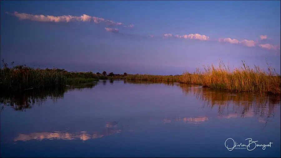 Namibie : couché de soleil, eau, zambezi zone, photo 20 d’Olivier Bourguet