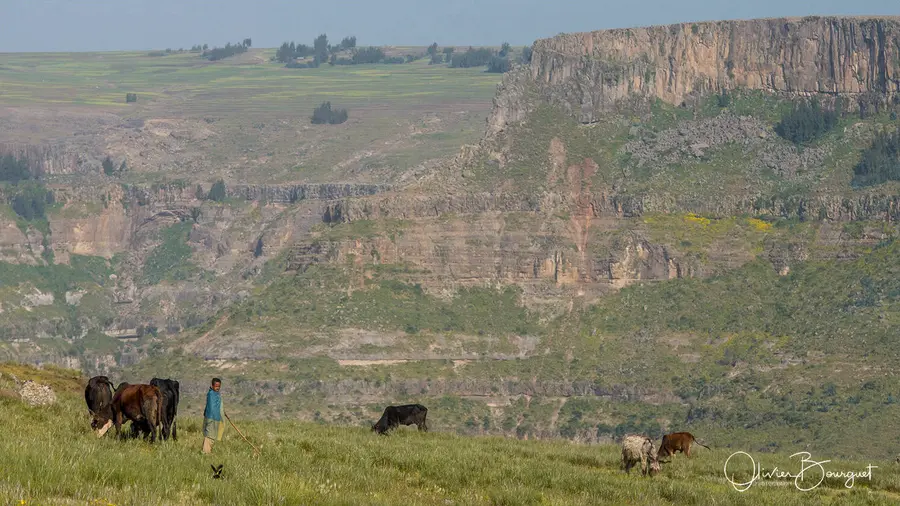 Rendez-vous à Gishen Maryam : paysages, activités, enfants, photo 21 d’Olivier Bourguet