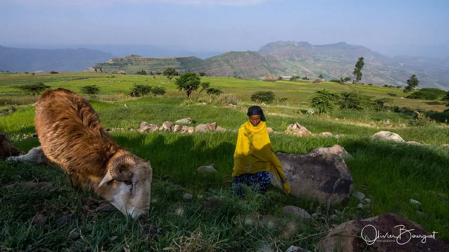 Rendez-vous à Gishen Maryam : portraits, activités, photo 38 d’Olivier Bourguet