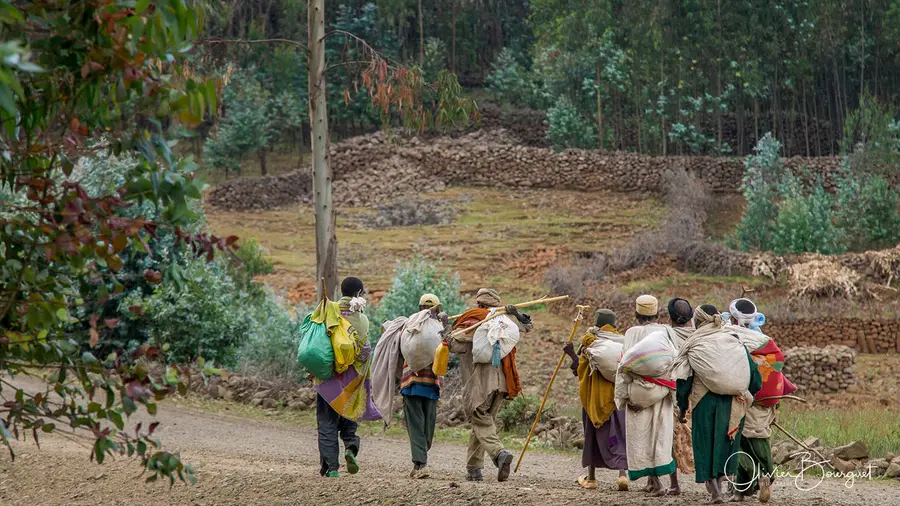 Rendez-vous à Gishen Maryam : pèlerinage, photo 39 d’Olivier Bourguet