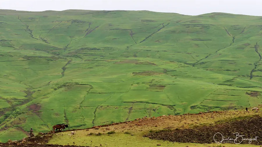 Éthiopie : éthiopie nord, religion, montagnes du simien, photo 182 d’Olivier Bourguet