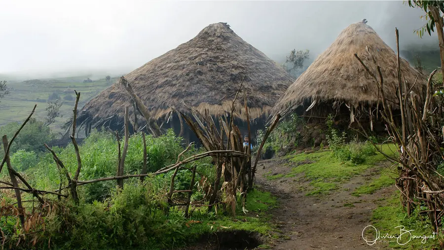 Éthiopie : éthiopie nord, montagnes du simien, photo 181 d’Olivier Bourguet