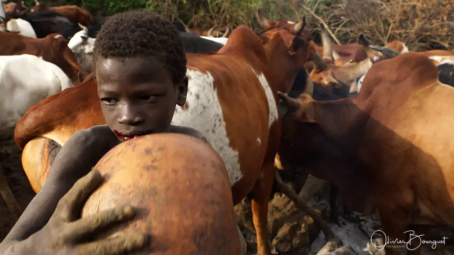 Éthiopie : éthiopie sud, vallée de l'Omo, portraits, traditions, enfants, photo 163 d’Olivier Bourguet