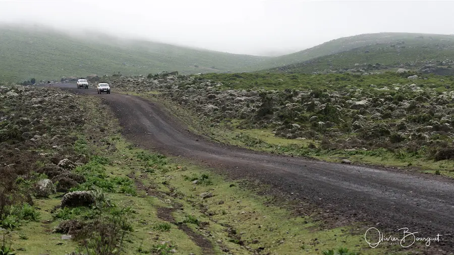 Images des voyages dans le sud de l'Éthiopie, photo 10 d’Olivier Bourguet