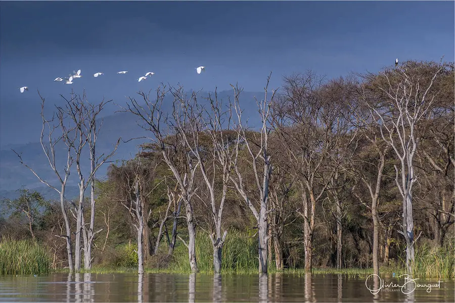 Éthiopie : éthiopie sud, paysages, animaux, photo 97 d’Olivier Bourguet