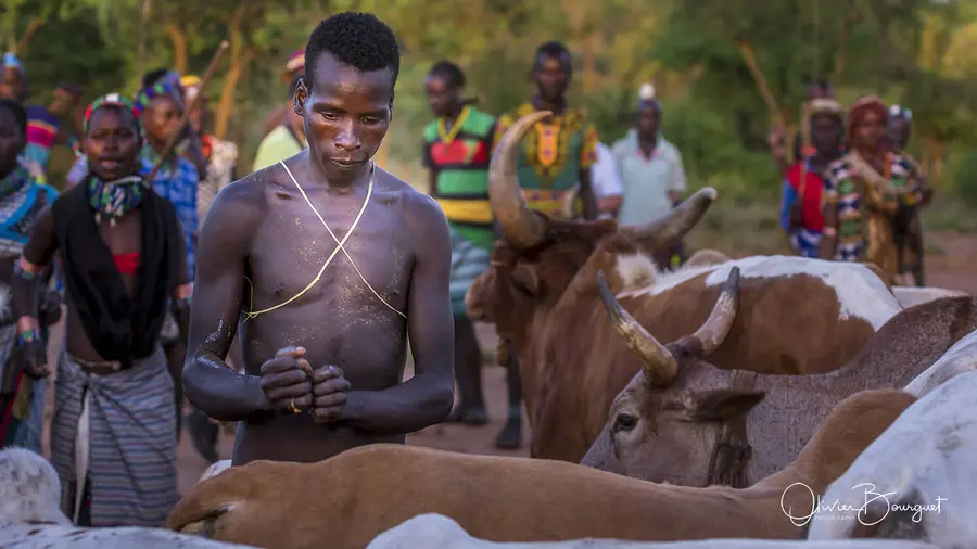 Éthiopie : éthiopie sud, vallée de l'Omo, portraits, traditions, photo 161 d’Olivier Bourguet