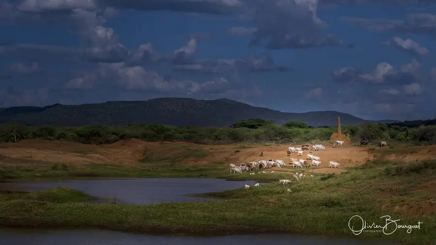 Éthiopie : éthiopie sud, paysages, Borana, lacs, photo 159 d’Olivier Bourguet