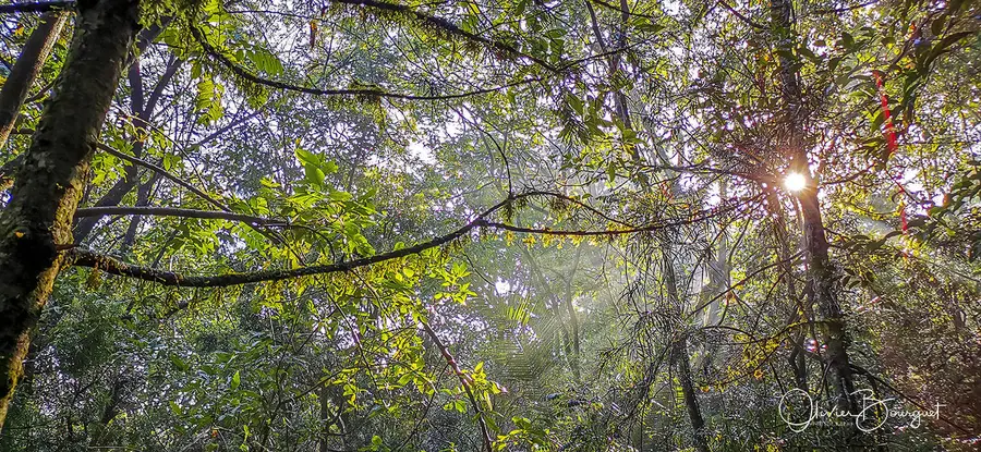Éthiopie : éthiopie sud, montagnes du Balé, paysages, photos prises au smartphone, photo 20 d’Olivier Bourguet