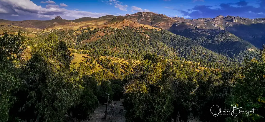 Éthiopie : éthiopie sud, montagnes du Balé, paysages, photos prises au smartphone, photo 19 d’Olivier Bourguet