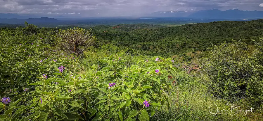 Éthiopie : éthiopie sud, vallée de l'Omo, paysages, photos prises au smartphone, photo 42 d’Olivier Bourguet