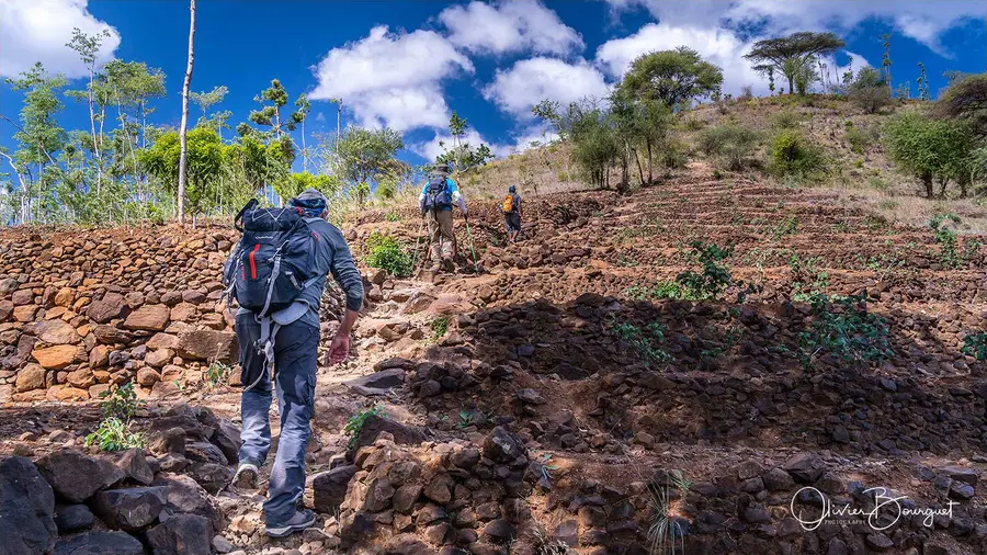 Éthiopie sud, voyage trek : éthiopie sud, konso, trekkeurs, photo 14 d’Olivier Bourguet