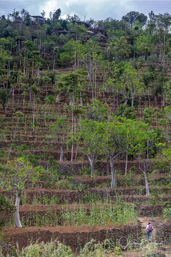 Éthiopie sud, voyage trek : éthiopie sud, konso, paysage, trekkeurs, photo 18 d’Olivier Bourguet