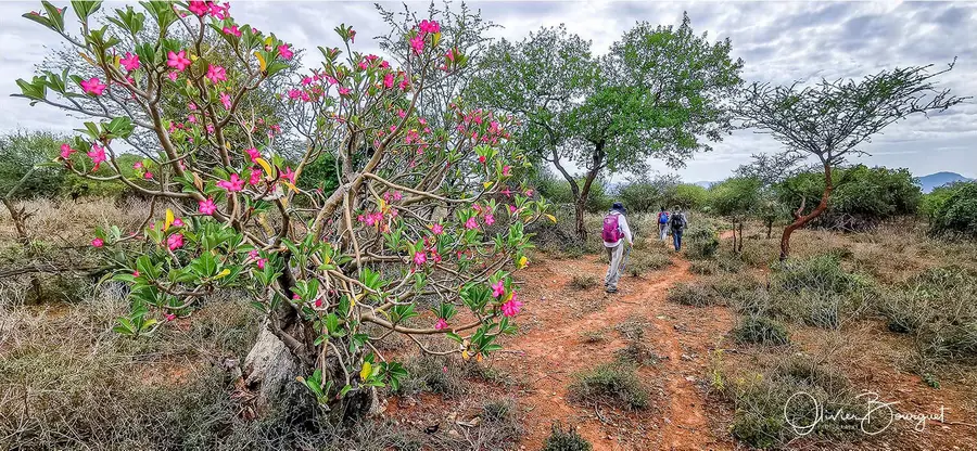 Éthiopie sud, voyage trek : éthiopie sud, omo valley, trekkeurs, photo au smartphone, photo 27 d’Olivier Bourguet