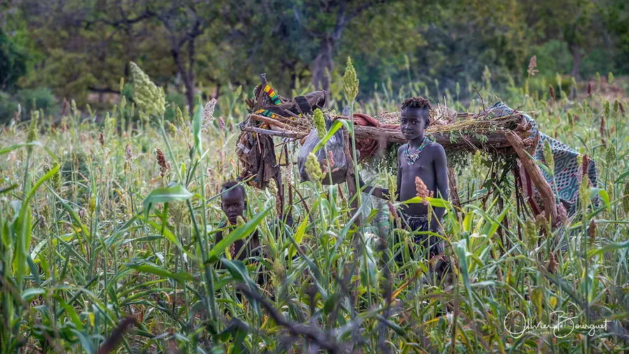 Éthiopie sud, voyage trek : éthiopie sud, omo valley, portrait, photo 29 d’Olivier Bourguet