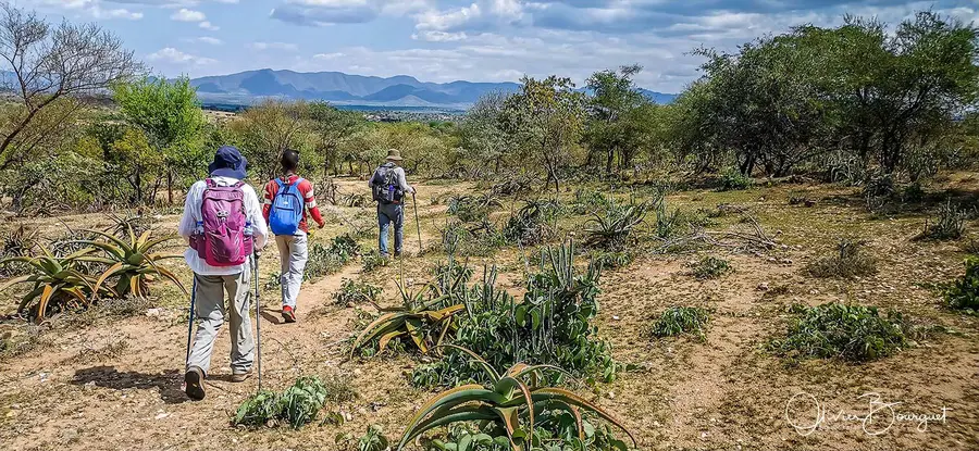 Éthiopie sud, voyage trek : éthiopie sud, omo valley, trekkeurs, photo au smartphone, photo 30 d’Olivier Bourguet
