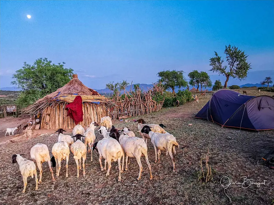 Éthiopie sud, voyage trek : éthiopie sud, omo valley, trekkeurs, photo au smartphone, photo 33 d’Olivier Bourguet