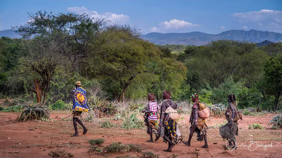 Éthiopie sud, voyage trek : éthiopie sud, omo valley, paysage, paysage, photo 44 d’Olivier Bourguet