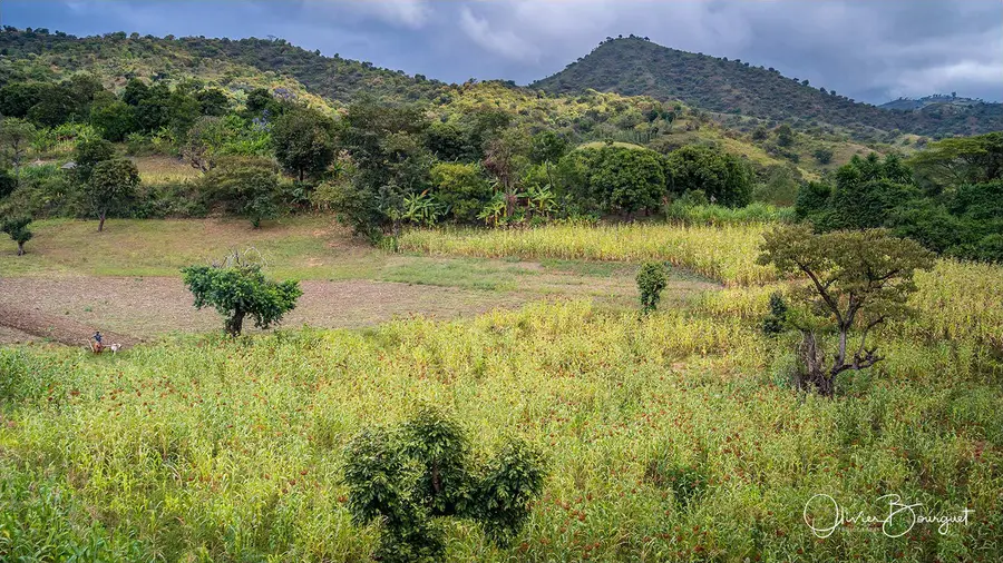 Éthiopie sud, voyage trek : éthiopie sud, omo valley, paysage, photo 50 d’Olivier Bourguet