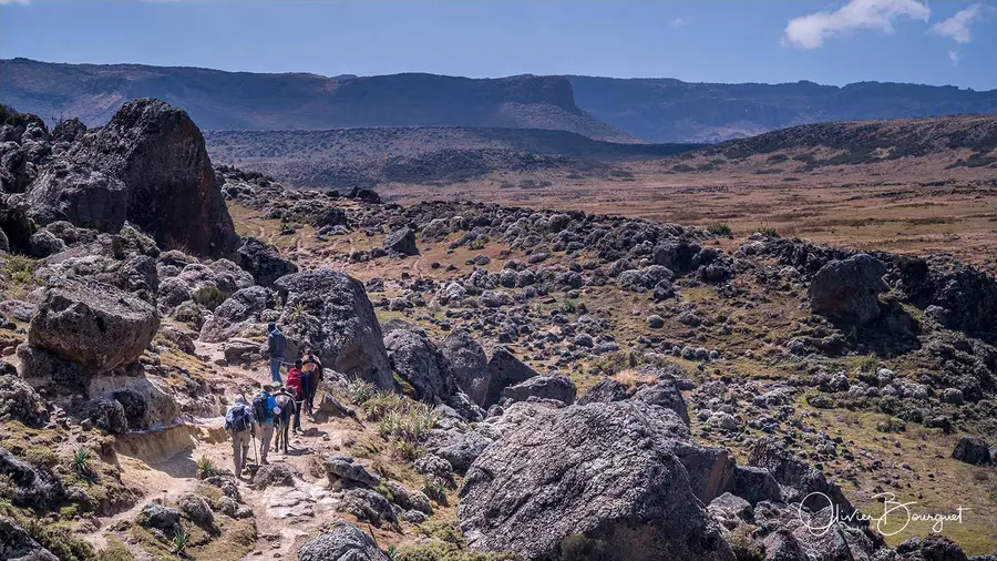 Éthiopie sud, voyage trek : éthiopie sud, montagnes du balé, paysage, trekkeurs, photo 52 d’Olivier Bourguet