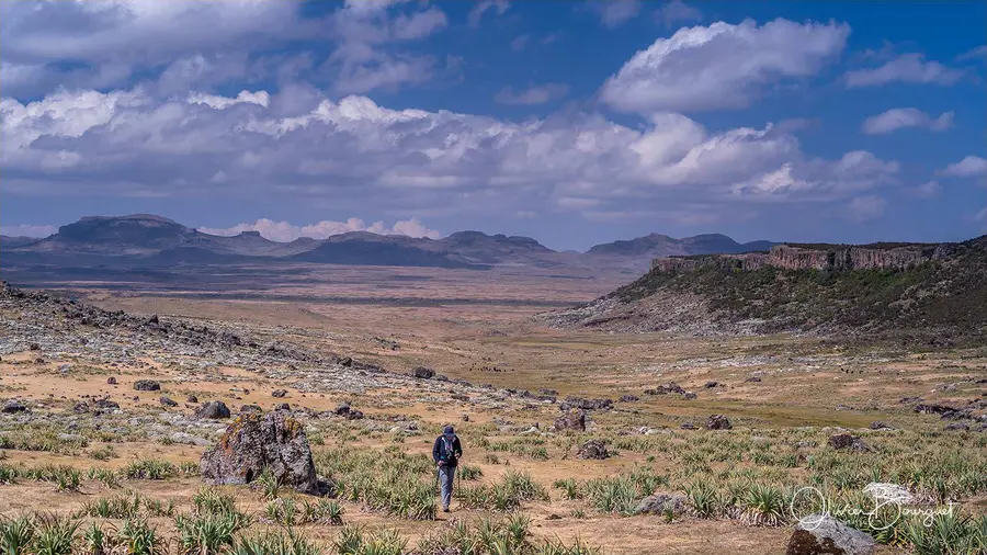 Éthiopie sud, voyage trek : éthiopie sud, montagnes du balé, paysage, trekkeurs, photo 54 d’Olivier Bourguet