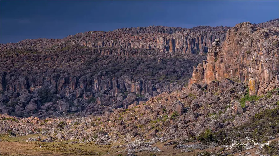 Éthiopie sud, voyage trek : éthiopie sud, montagnes du balé, paysage, photo 55 d’Olivier Bourguet