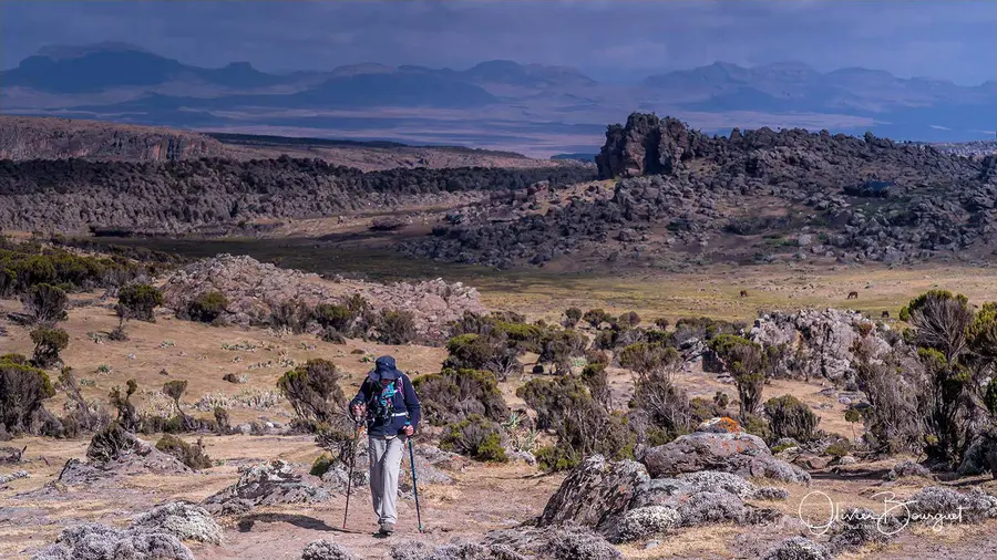 Éthiopie sud, voyage trek : éthiopie sud, montagnes du balé, paysage, trekkeurs, photo 58 d’Olivier Bourguet