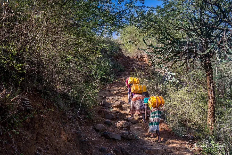 Éthiopie sud, voyage trek : éthiopie sud, konso, photo 7 d’Olivier Bourguet