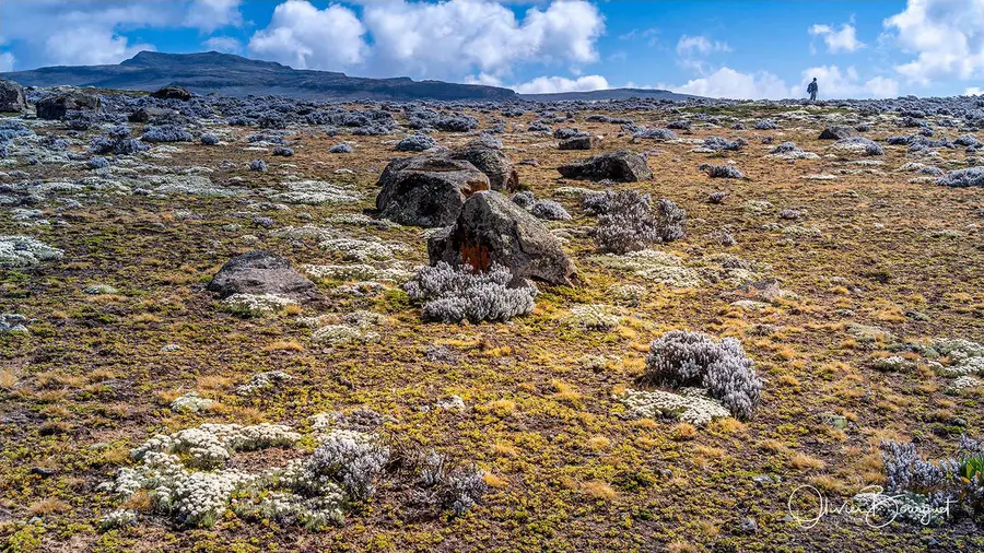 Éthiopie sud, voyage trek : éthiopie sud, montagnes du balé, paysage, trekkeurs, photo 64 d’Olivier Bourguet