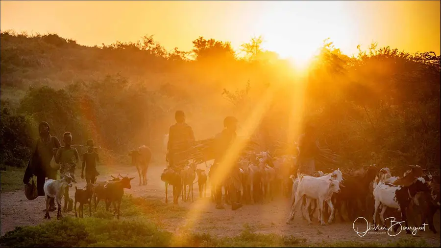 Éthiopie sud, voyage d'auteur décembre 2024 : Vallée de l'Omo, atmosphère, photo 222 d’Olivier Bourguet