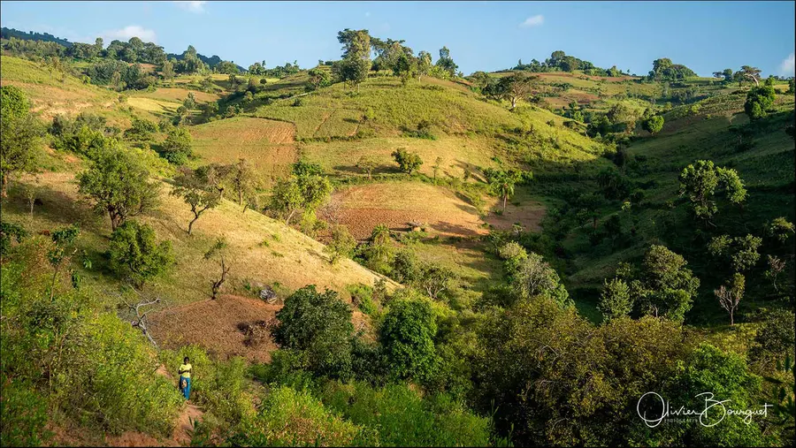 Éthiopie sud, voyage d'auteur décembre 2024 : Vallée de l'Omo, paysages, photo 152 d’Olivier Bourguet
