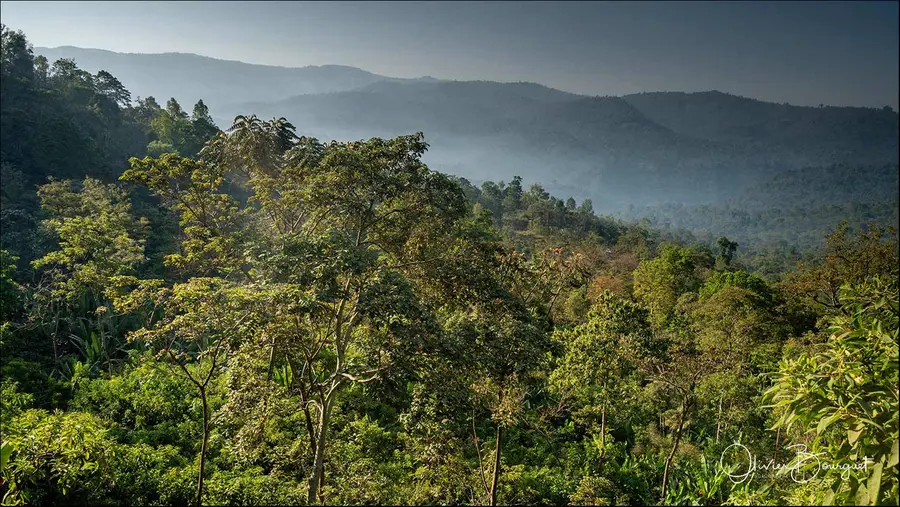 Éthiopie sud, voyage d'auteur décembre 2024 : paysages, photo 247 d’Olivier Bourguet