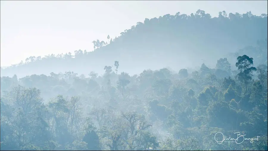 Éthiopie sud, voyage d'auteur décembre 2024 : paysages, photo 248 d’Olivier Bourguet