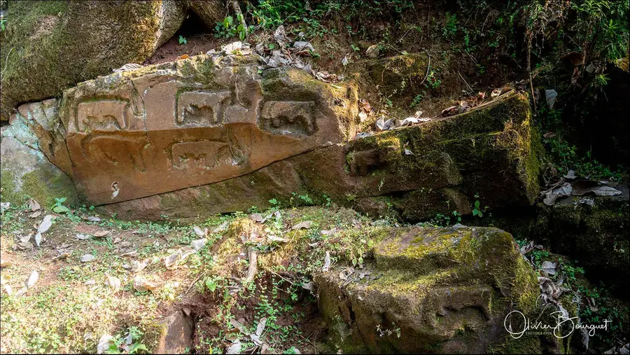 Éthiopie sud, voyage d'auteur décembre 2024 : autres, photo 249 d’Olivier Bourguet