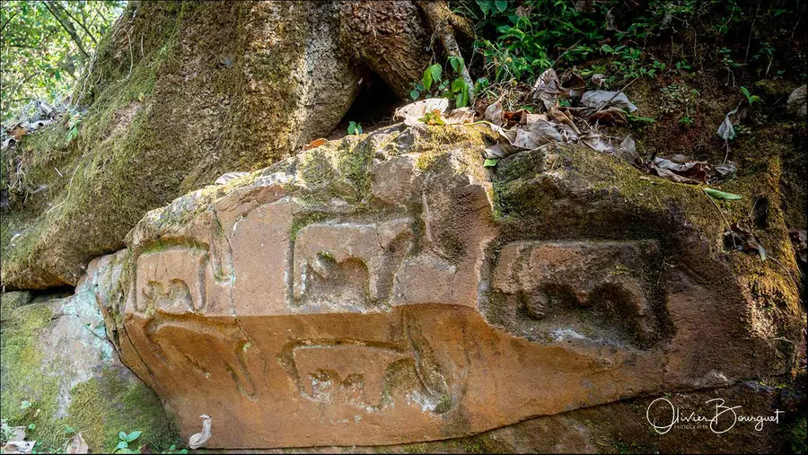 Éthiopie sud, voyage d'auteur décembre 2024 : autres, photo 253 d’Olivier Bourguet